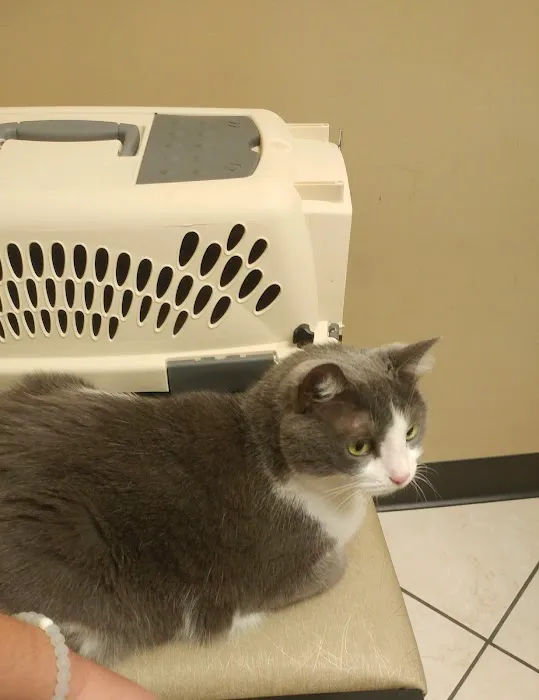 Mid North Animal Hospital Picture 3