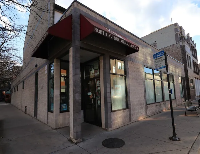 North Avenue Animal Hospital Picture 1