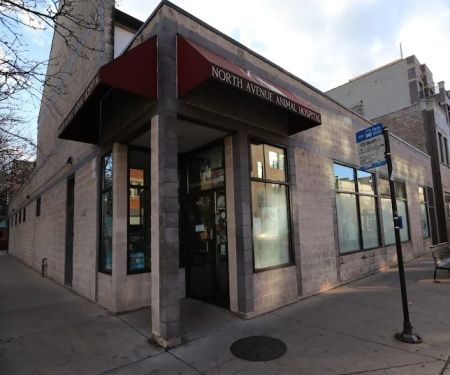 North Avenue Animal Hospital