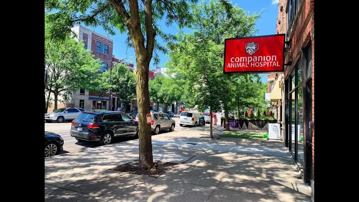 Companion Animal Hospital Wicker Park Picture 1