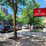 Companion Animal Hospital Wicker Park