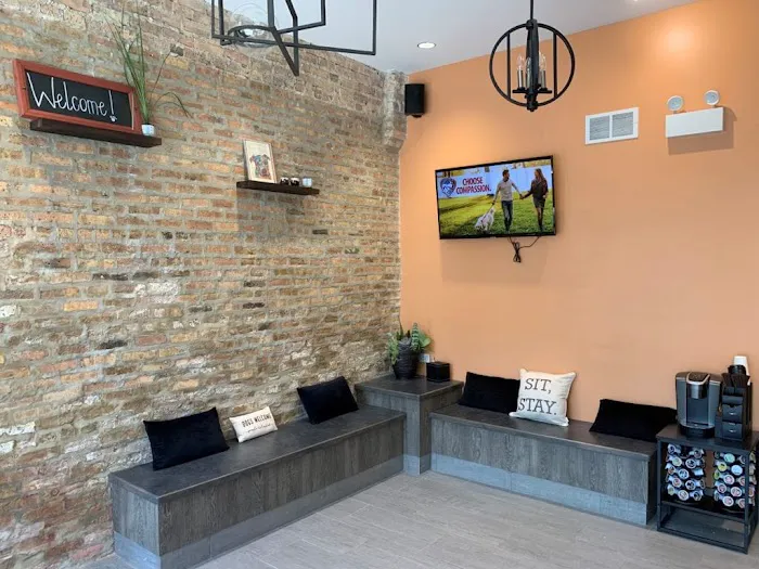 Companion Animal Hospital Wicker Park Picture 6