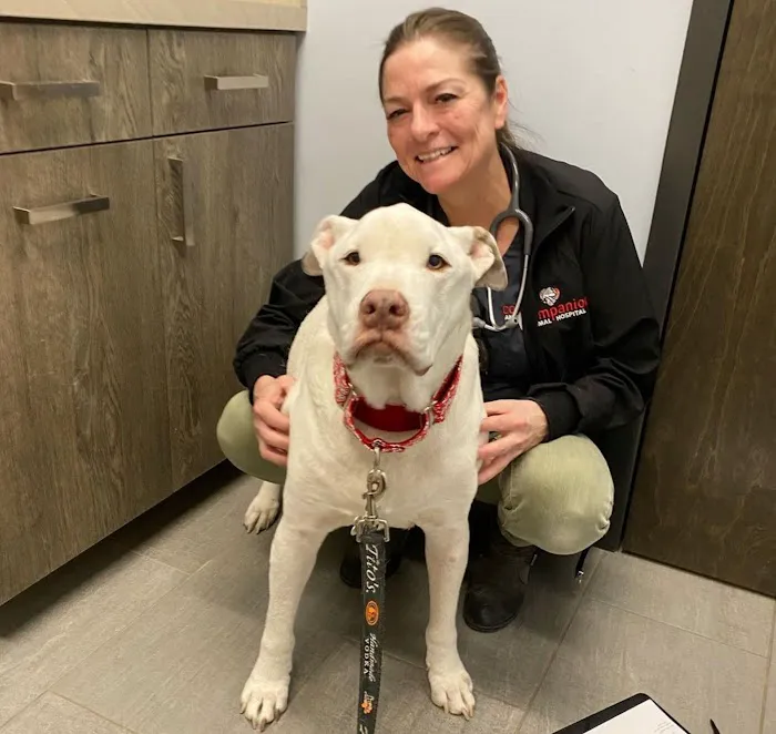 Companion Animal Hospital Wicker Park Picture 10