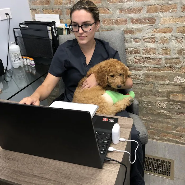 Companion Animal Hospital Wicker Park Picture 8