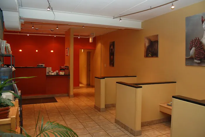 My Vet Animal Hospital Picture 1