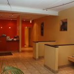 My Vet Animal Hospital
