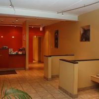 My Vet Animal Hospital ico