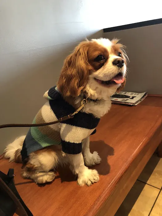 My Vet Animal Hospital Picture 4