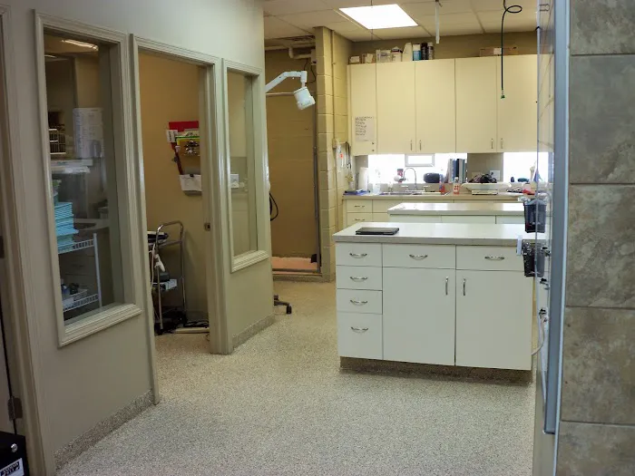 My Vet Animal Hospital Picture 7