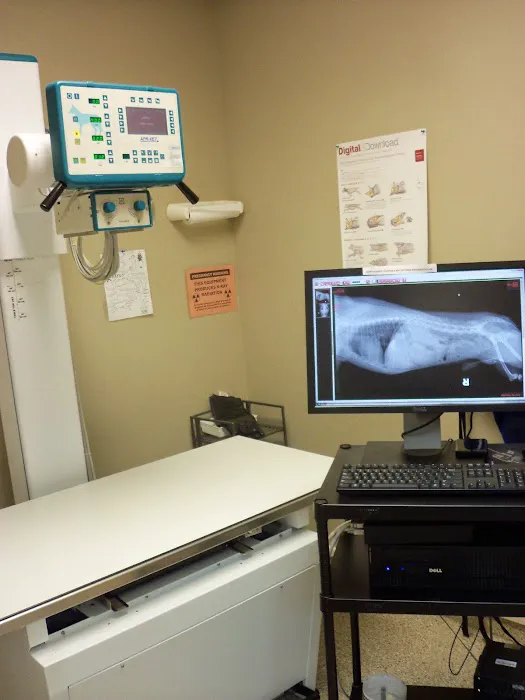My Vet Animal Hospital Picture 8