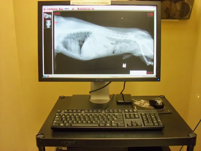 My Vet Animal Hospital Picture 9