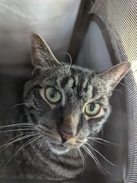 Vetco Total Care Animal Hospital Picture 3