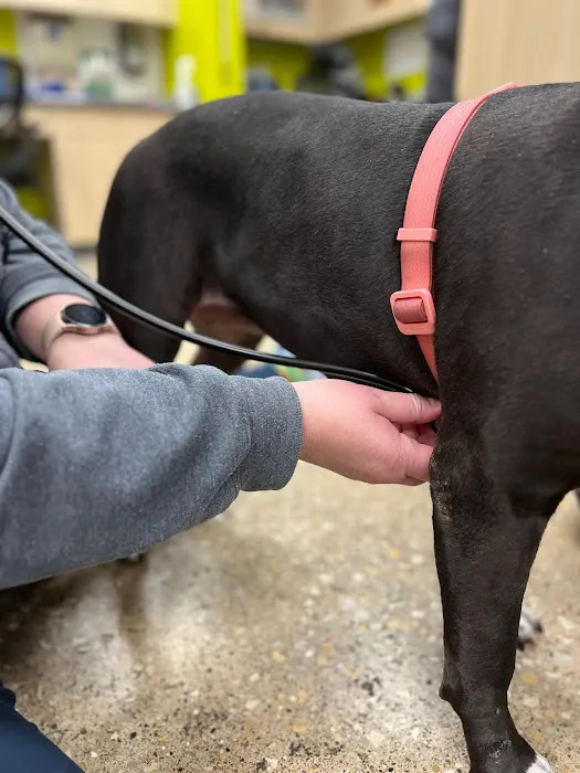 Vetco Total Care Animal Hospital Picture 6