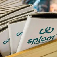 Sploot Veterinary Care - Lincoln Park ico