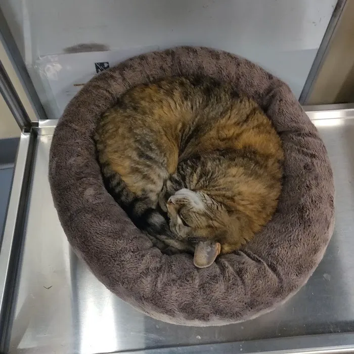 Village West Veterinary Picture 5