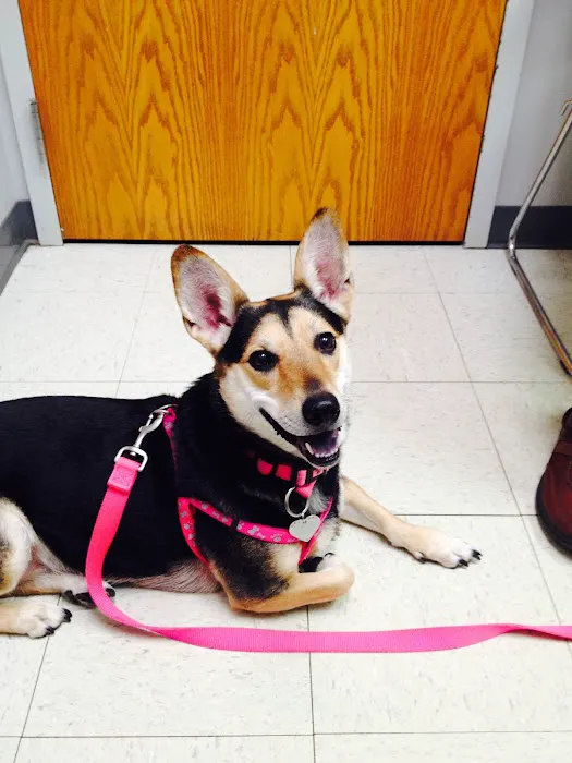 Village West Veterinary Picture 6