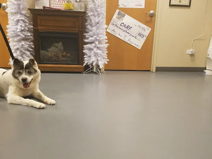 Village West Veterinary Picture 8