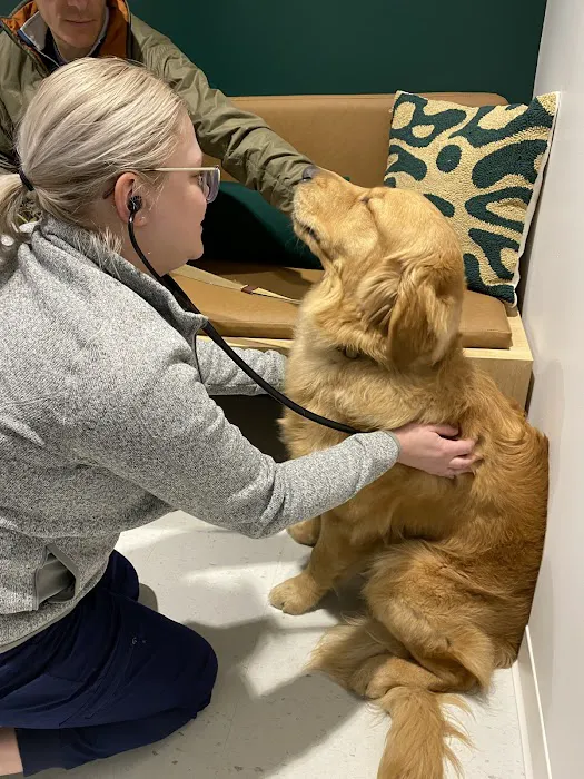Scout Veterinary Urgent Care - Lincoln Park Picture 1