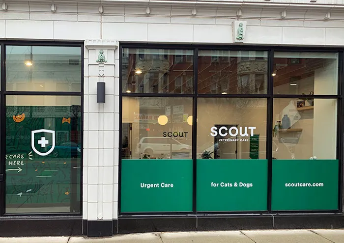 Scout Veterinary Urgent Care - Lincoln Park Picture 10