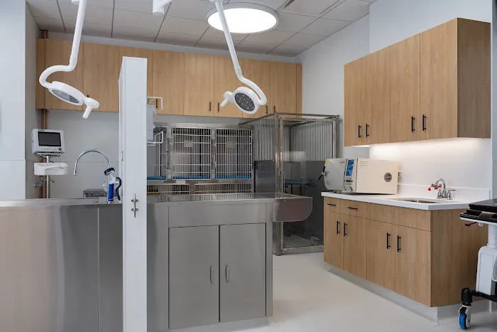 Scout Veterinary Urgent Care - Lincoln Park Picture 8