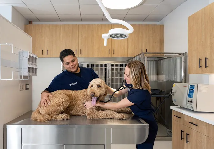 Scout Veterinary Urgent Care - Lincoln Park Picture 9