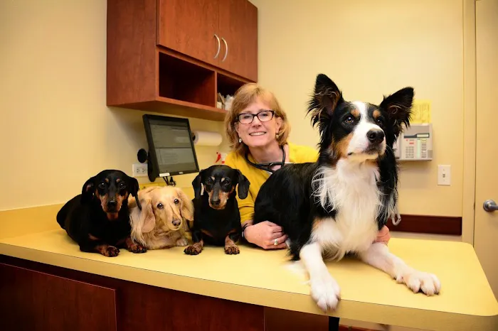Family Pet Animal Hospital, A Thrive Pet Healthcare Partner Picture 9