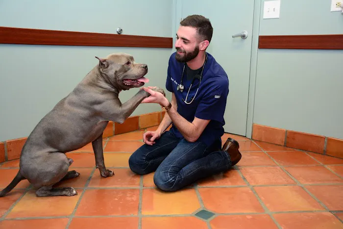 Family Pet Animal Hospital, A Thrive Pet Healthcare Partner Picture 7