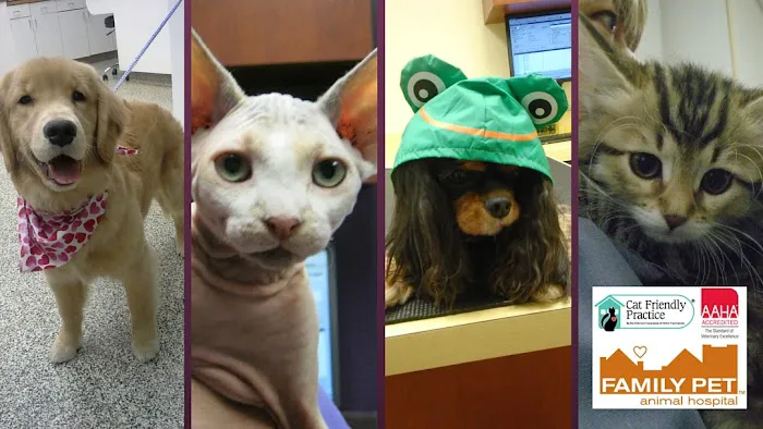 Family Pet Animal Hospital, A Thrive Pet Healthcare Partner Picture 8
