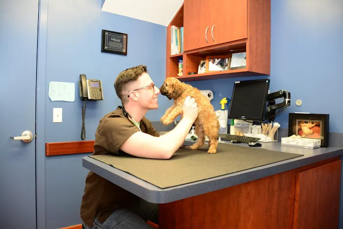 Family Pet Animal Hospital, A Thrive Pet Healthcare Partner Picture 10