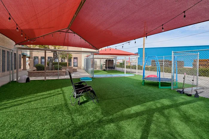 Country Club Animal Clinic Picture 3
