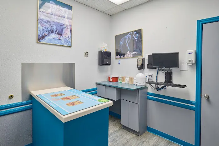 Country Club Animal Clinic Picture 9