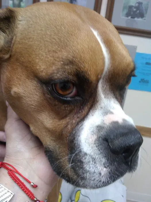 Country Club Animal Clinic Picture 4