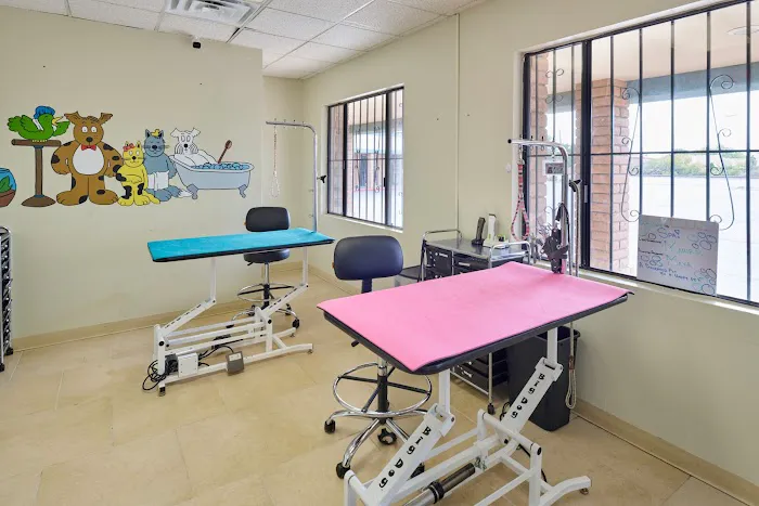 Country Club Animal Clinic Picture 7