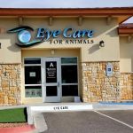 Eye Care for Animals - El Paso