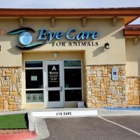 Eye Care for Animals - El Paso ico