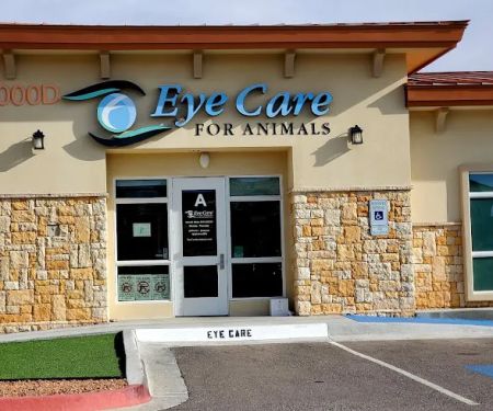 Eye Care for Animals - El Paso