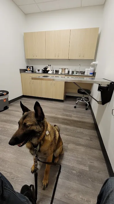 Eye Care for Animals - El Paso Picture 7