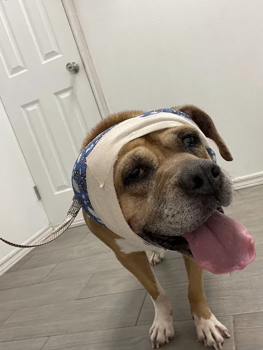 West Texas Cimarron Canyon Veterinary Clinic Picture 8