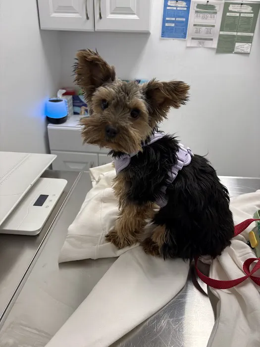 West Texas Cimarron Canyon Veterinary Clinic Picture 5