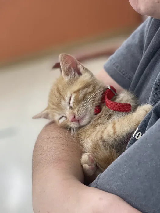 Zarges Animal Clinic Picture 5