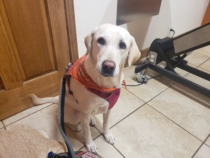 Zarges Animal Clinic Picture 7
