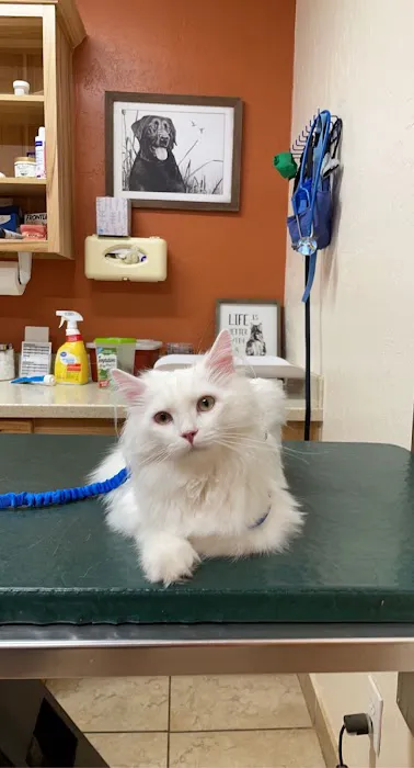 Zarges Animal Clinic Picture 2