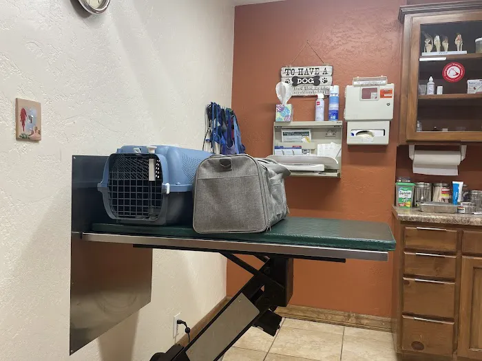Zarges Animal Clinic Picture 9