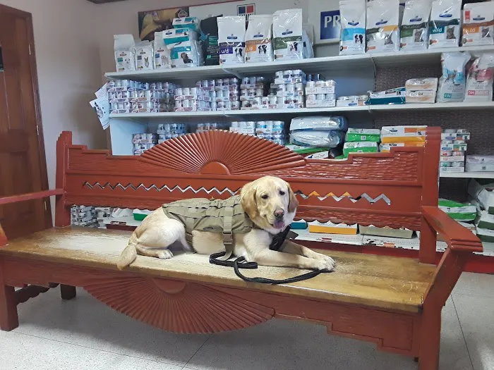 Zarges Animal Clinic Picture 10