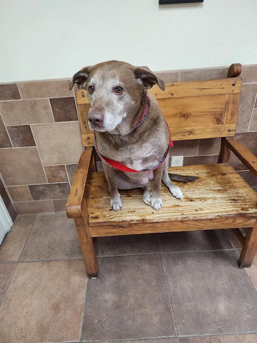 Southwest Animal Care Complex Picture 10