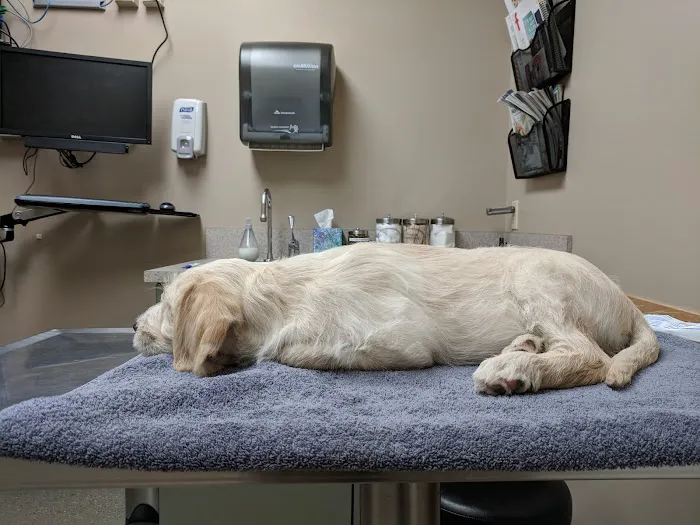 Ravenna Animal Hospital Picture 1