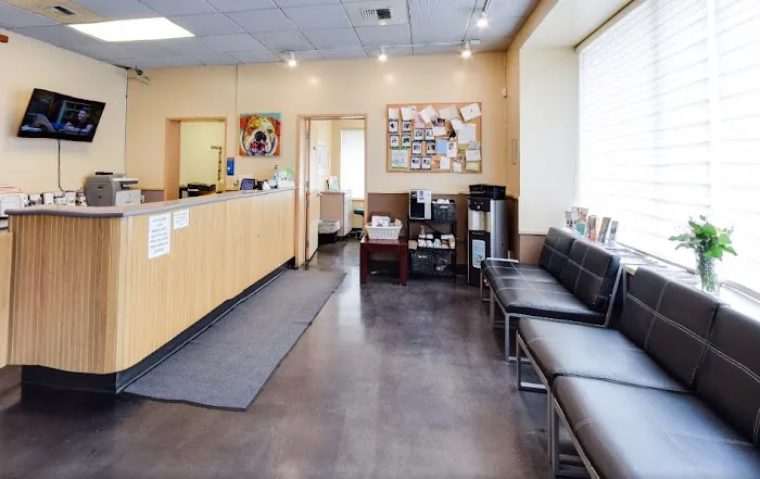 Emerald City Emergency Clinic Picture 4