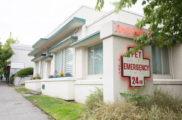 Emerald City Emergency Clinic Picture 6