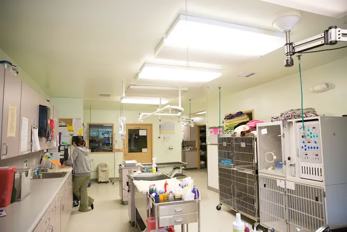 Emerald City Emergency Clinic Picture 7