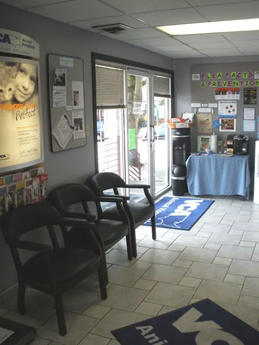 VCA Magnolia Animal Hospital Picture 5